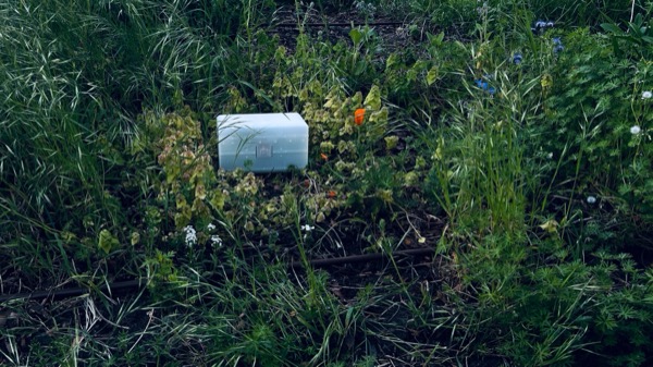 Chestful of Whispers