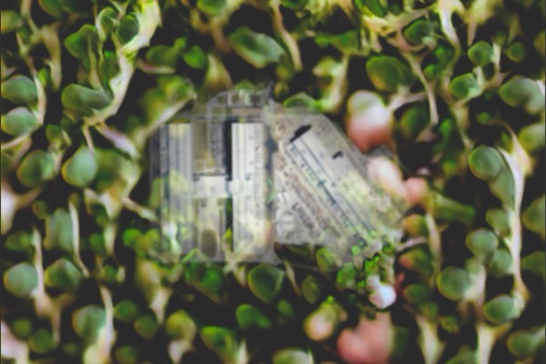 I Was Once Here, I Might Still Be