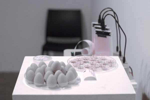 Poor Body: Memory Berry